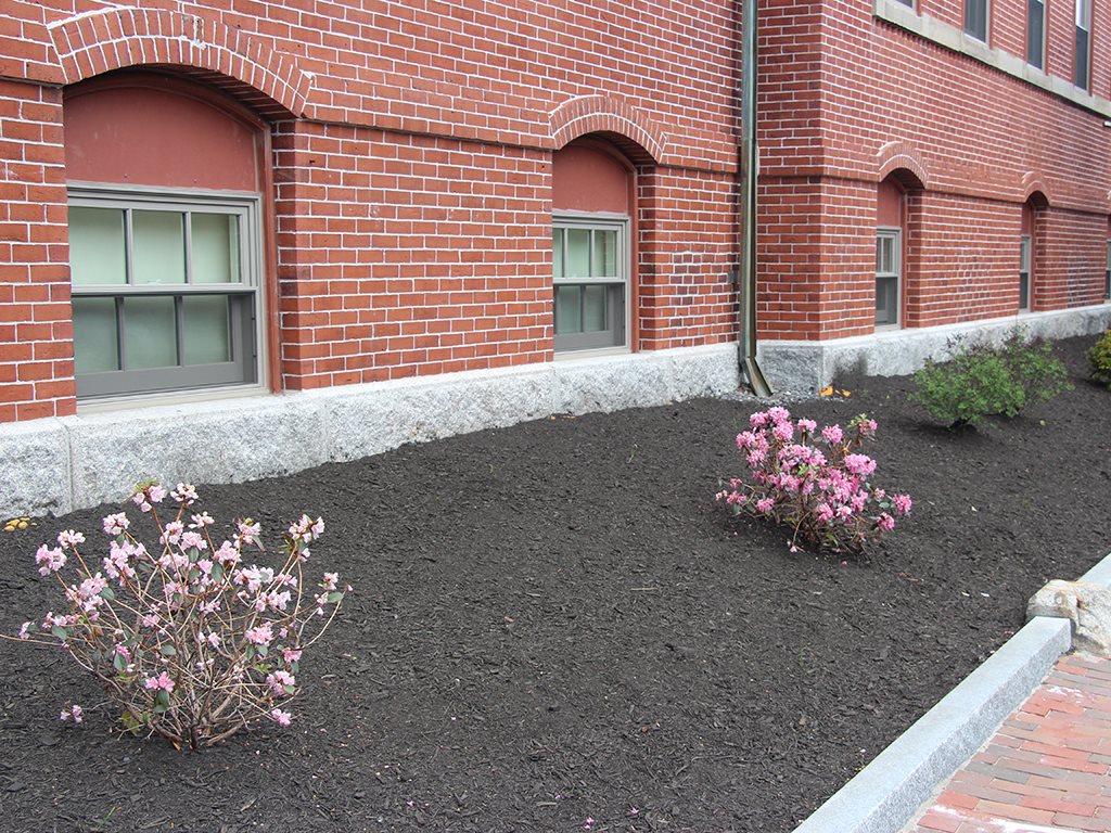 Gallery Photo 5
